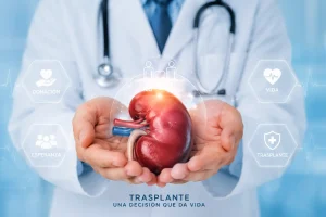 Guía de inmunosupresores para trasplante en México — Tacrolimus, Micofenolato y Sirolimus disponibles en AltamediQ
